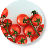 tomatoes
